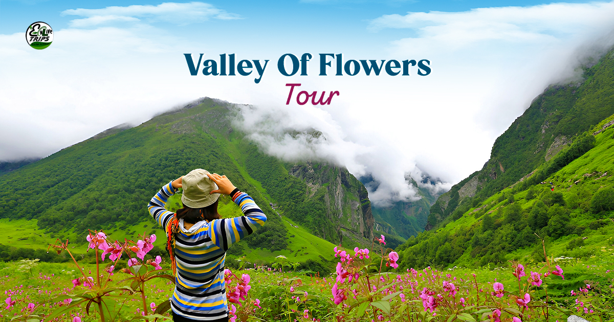 Valley of Flowers Trek Package From Delhi